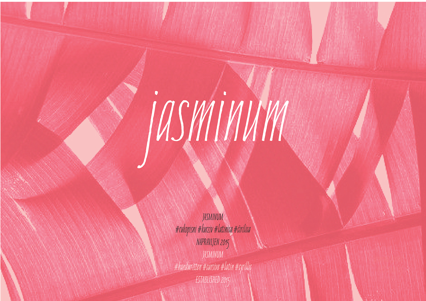 jasminum优雅斜体手写英文字体下载