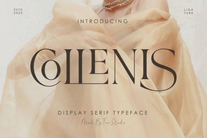 coillens高级衬线英文字体下载插图
