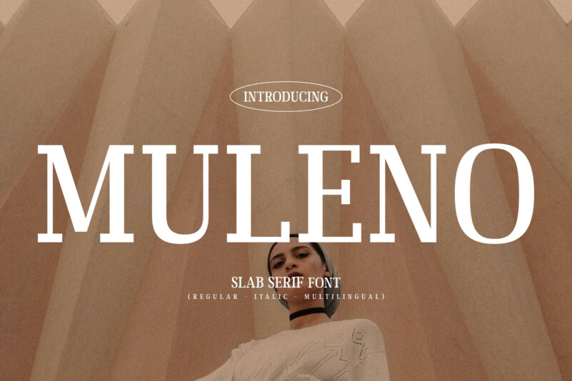 Muleno时尚品牌vi衬线英文字体下载插图