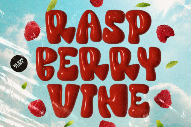 Raspberry-Vine个性包装3D手写英文字体下载插图