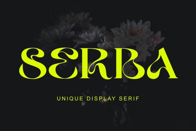 serba创意波纹花式英文字体下载插图