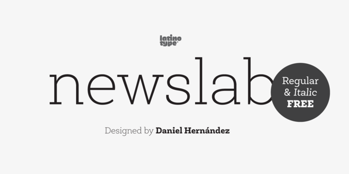 Newslab现代标题文字衬线英文字体家族包免费下载插图