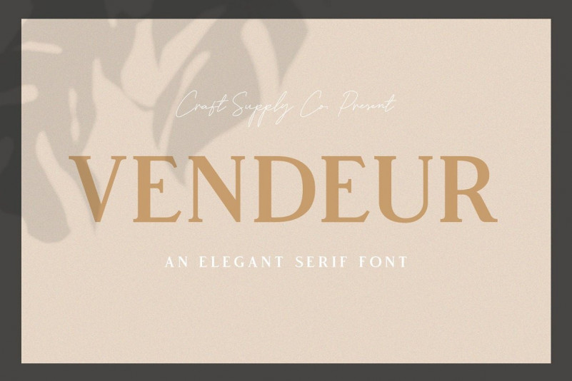 Vendeur高端奢侈品衬线英文字体免费下载插图