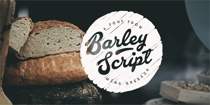 Barley手工diy签名手写英文字体下载插图