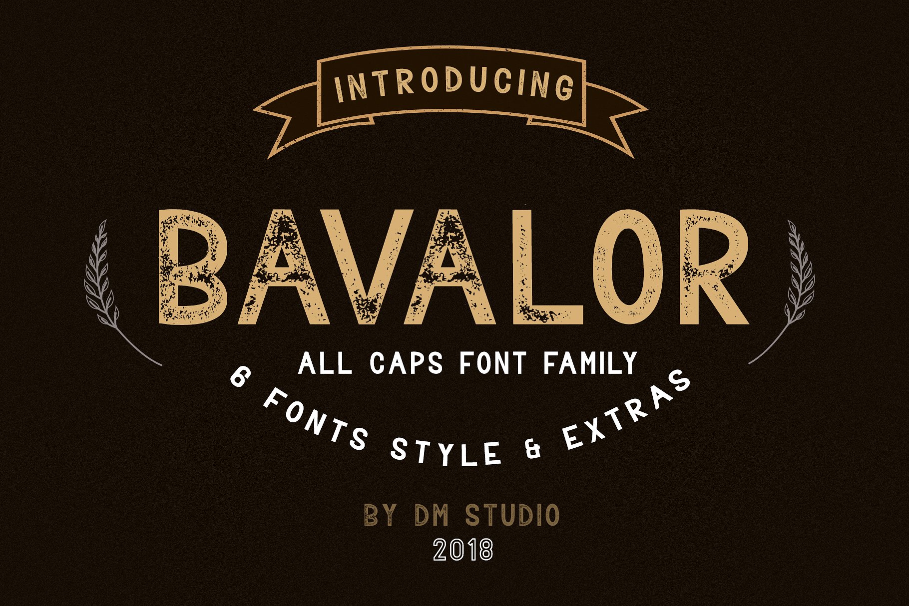 Bavalor经典复古无衬线力量连笔免费英文字体下载插图