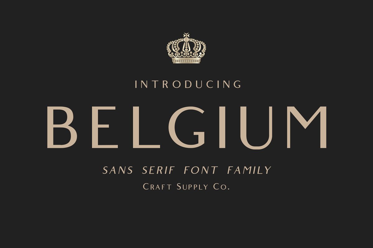 Belgium简洁无衬线ui设计英文字体下载插图