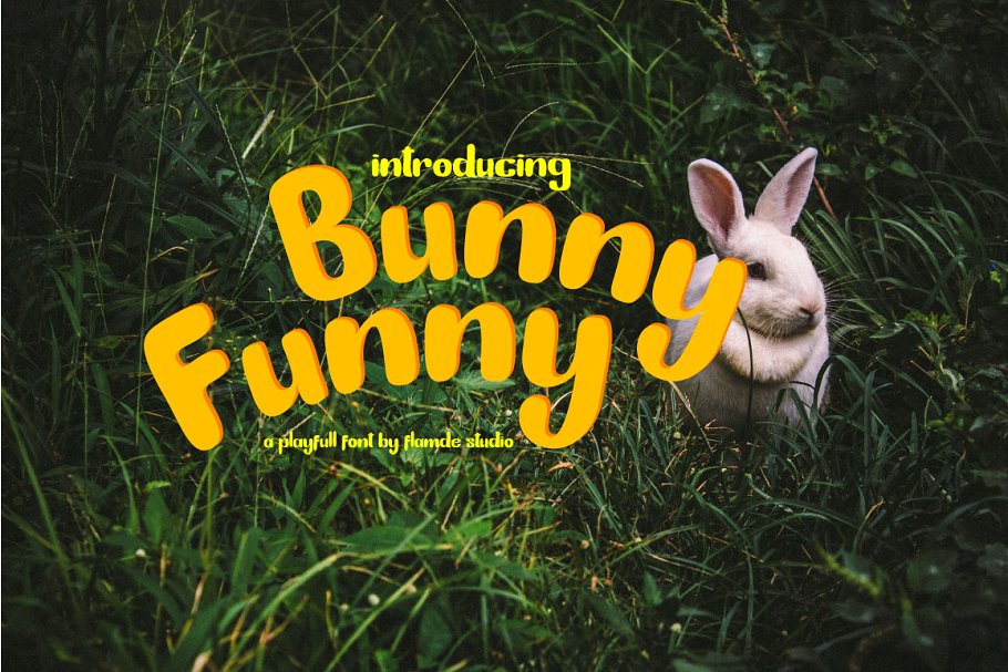 BunnyFunny现代圆润手写英文字体下载插图