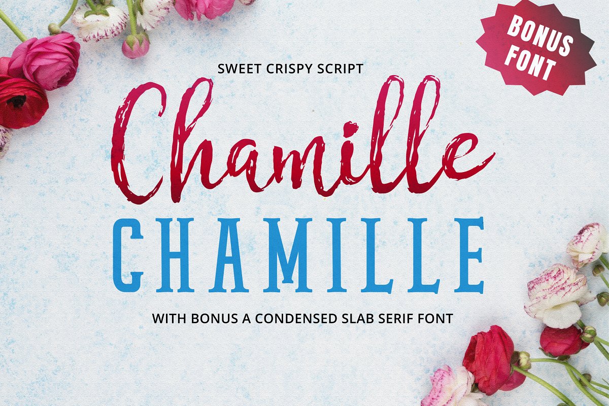 Chamille书法笔触rockstar衬线免费英文字体下载插图