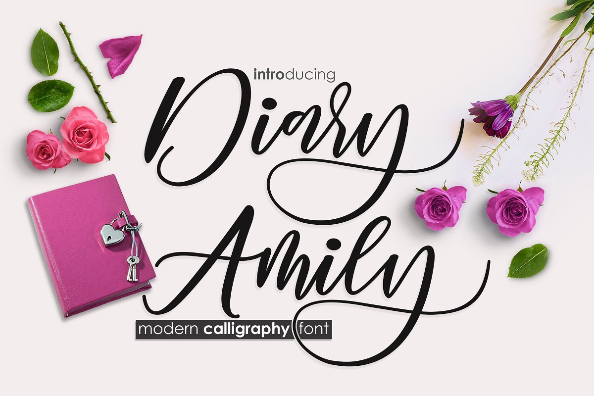diary Amily demo时尚流行书法英文字体包免费下载插图