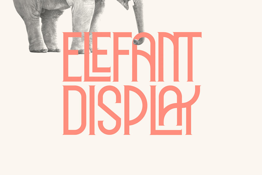 ElefantDisplay_2设计师logo创意衬线英文字体免费下载插图