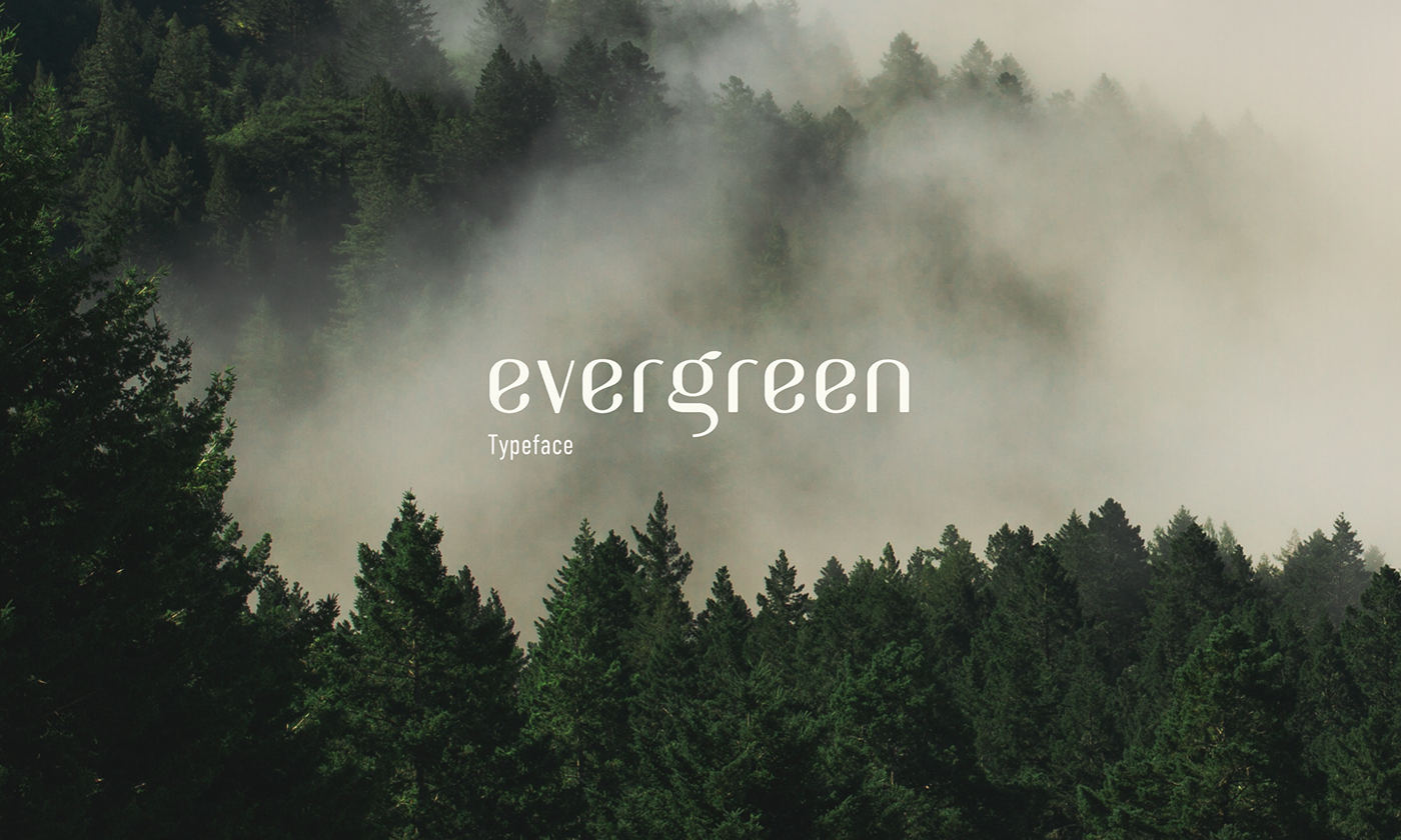 Evergreen女性小清新设计师logo无衬线免费英文字体下载插图