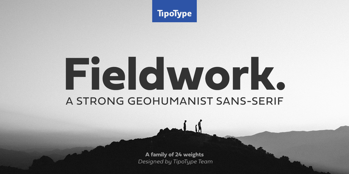 Fieldwork-力量无衬线英文字体下载插图