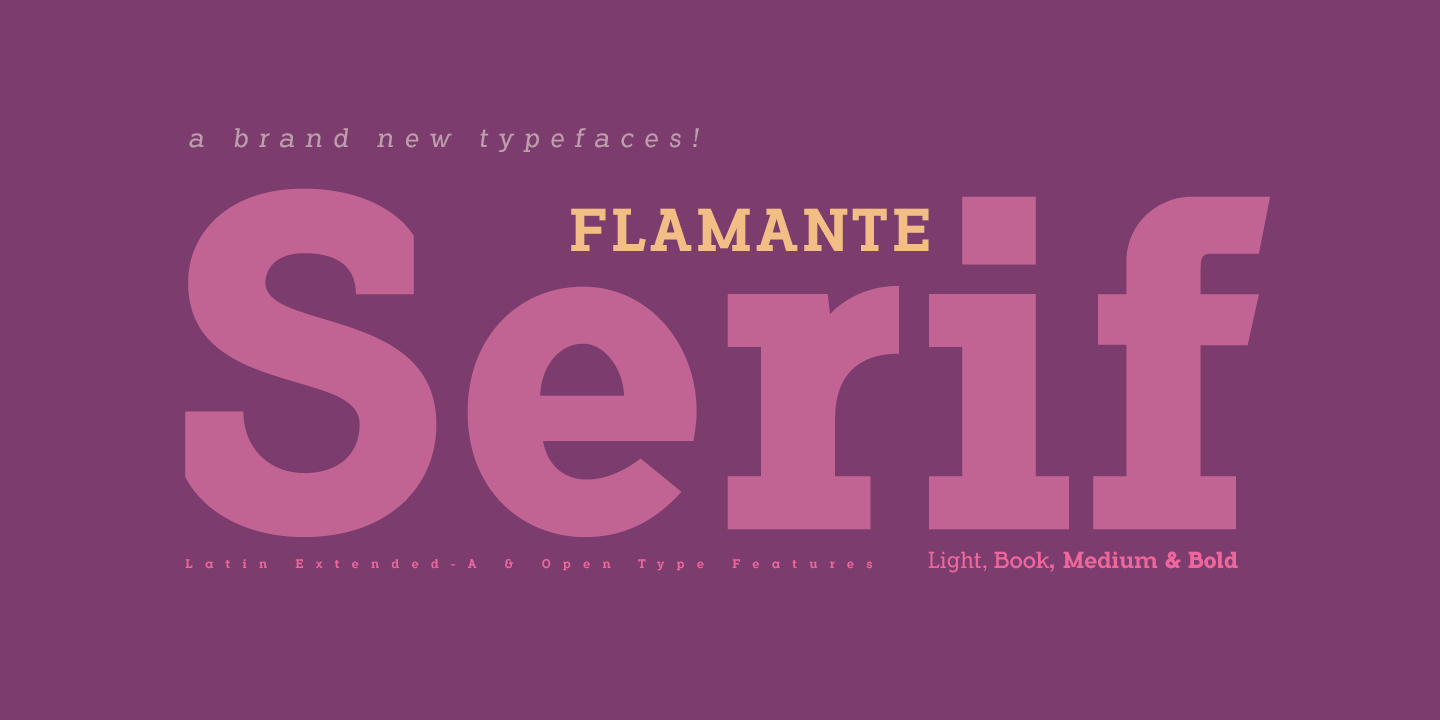 Flamante经典工业衬线标题英文字体下载插图