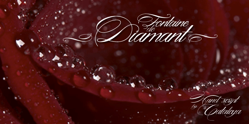 Fontaine de Diamant时尚品牌包装手写英文字体下载插图