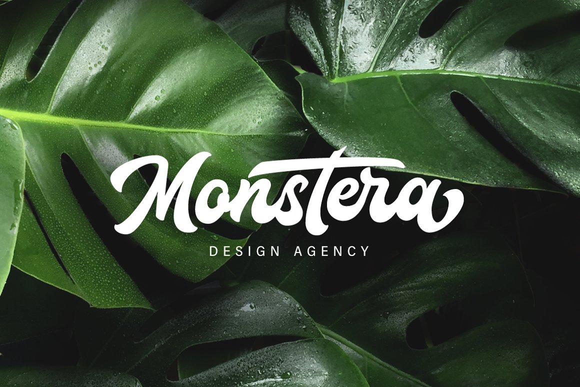 Houstander设计师手写logo英文字体下载插图