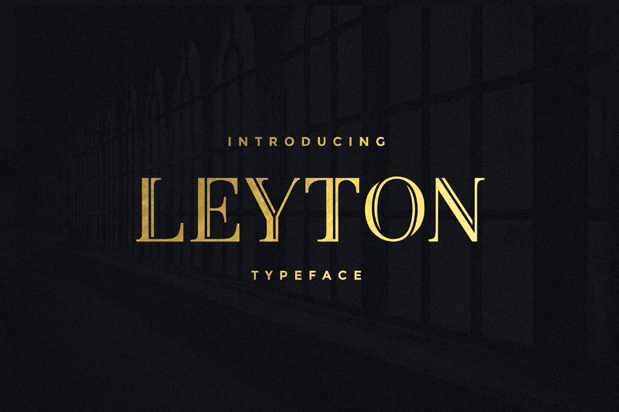 Leyton高端奢侈品衬线英文字体下载插图