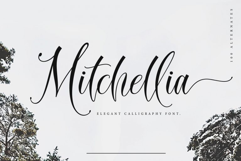 Mitchellia飘逸动感书法英文字体下载插图