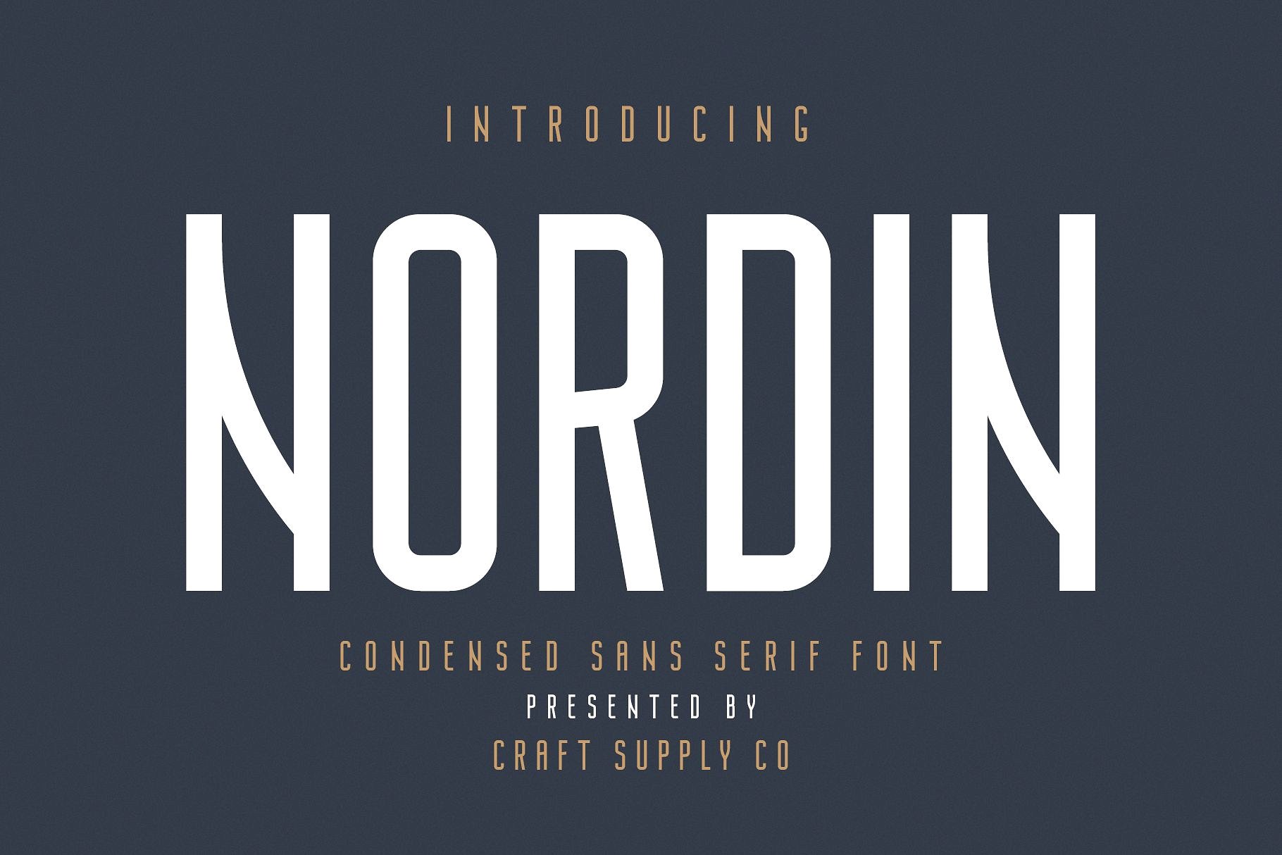 Nordin长方形无衬线英文字体家族包免费下载插图