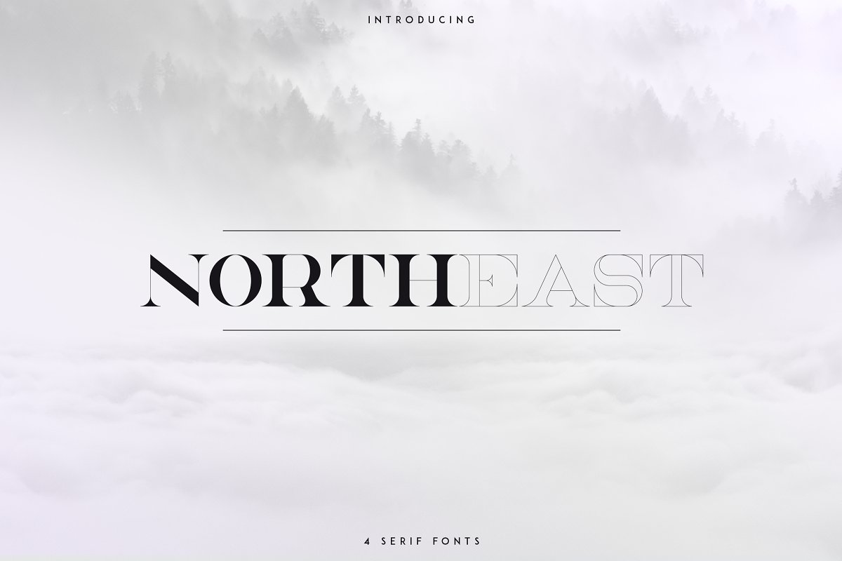 NorthEast私人个性衬线英文字体免费下载插图
