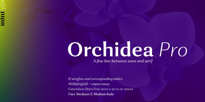 Orchidea Pro正式商用名片无衬线英文字体下载插图