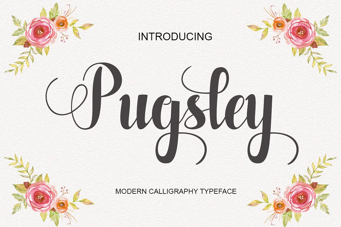 Pugsley时尚好看花式英文字体下载插图