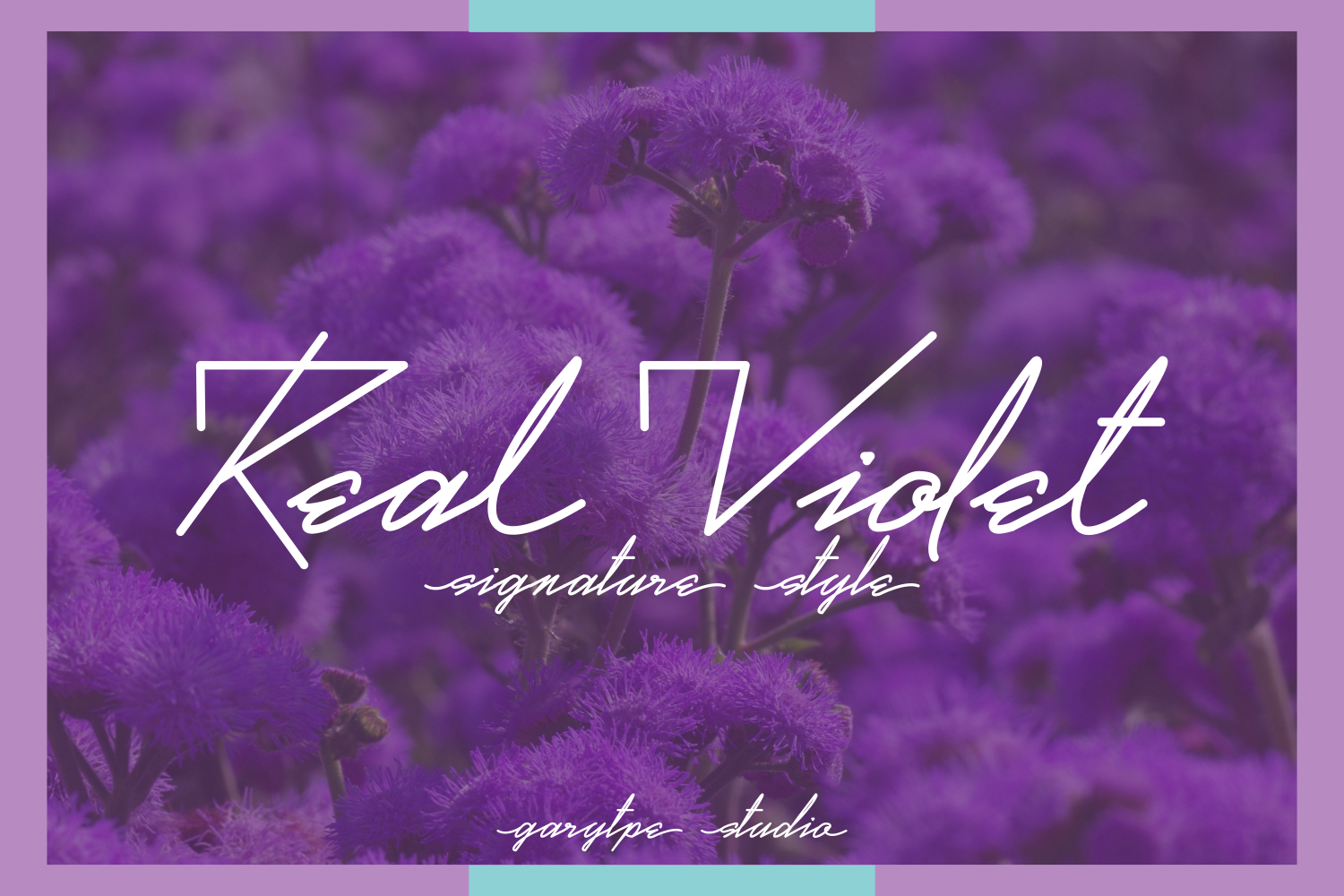 RealViolet个性logo设计师手写英文字体下载插图