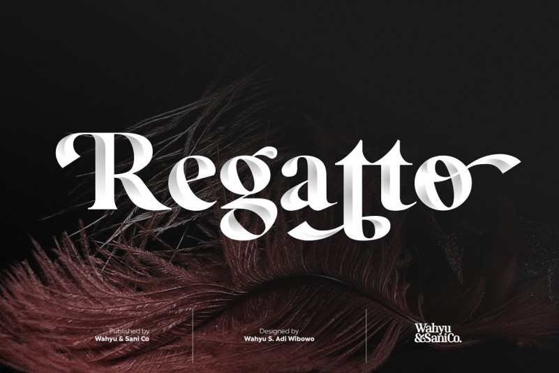 regatto现代衬线英文字体免费下载插图