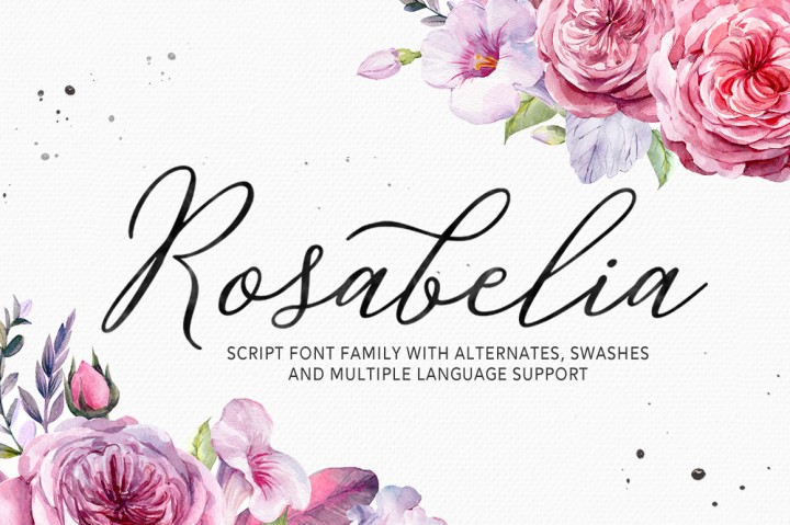 Rosabelia现代时尚手写签名英文字体下载插图