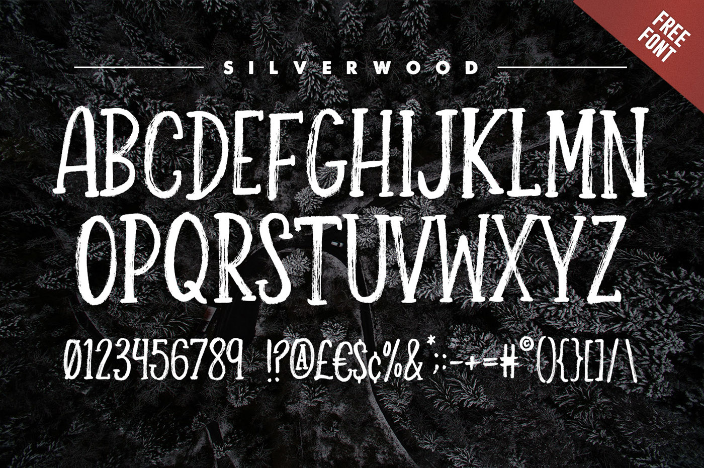 Silverwood个性木质纹理衬线字体免费下载插图